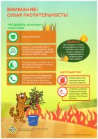 Опасность выжигания сухой растительности!